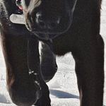 Profile Picture of Jeff VanWinkle (@vanwinklejeffrey) on Instagram