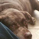 Profile Picture of Robin Sage Whitmer (@robinwhitmer) on Instagram