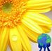 Profile Picture of Nancy Tobias (@nancy.tobias.399) on Facebook
