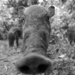 Profile Picture of louse (@toreylangcliffe) on Instagram