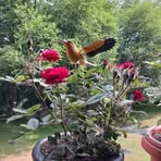 Profile Picture of Jim Barnard (@Jim-Barnard) on Facebook