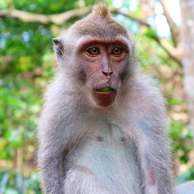 Profile Picture of Jacob Wright (@JJ_wright) on Twitter