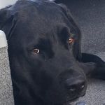 Profile Picture of James Rauhaus (@james_rauhaus) on Instagram