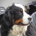 Profile Picture of Philip Hutton (@philip.hutton.37) on Facebook