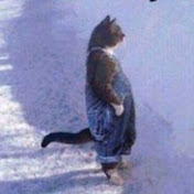 Profile Picture of Ethan Christopher (@ethanchristopher7022) on Youtube