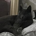 Profile Picture of Alice Plumb (@a.p_62) on Instagram