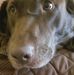 Profile Picture of David Tomasso (@david.tomasso.52) on Facebook
