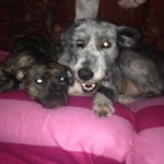 Profile Picture of Paula Logan (@flossy47) on Instagram