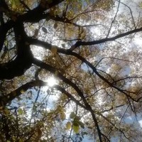 Profile Picture of Lisa Werts (@lisa-werts-1) on Quora