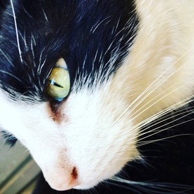 Profile Picture of Marilyn Michel (@Marilynmichel07) on Twitter