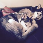 Profile Picture of Steve Wood (@stephenwoodlive) on Instagram