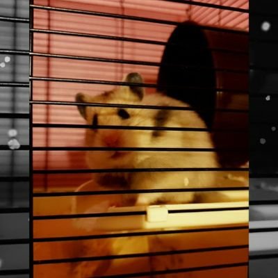 Profile Picture of Sabrina Loreen Kern (@loreen_sabrina) on Twitter