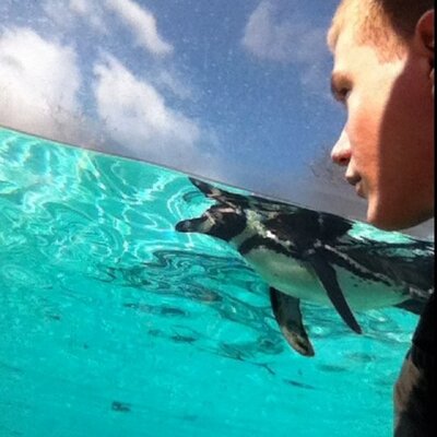 Profile Picture of Michael Silvester (@mikebant) on Twitter