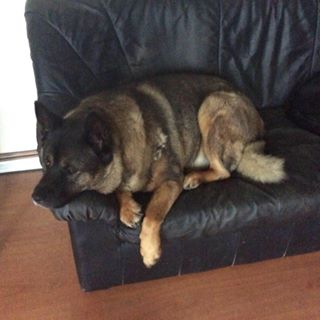 Profile Picture of Sheila Hopkinson (@sheila.hopkinson.90) on Facebook