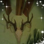 Profile Picture of Brian Overbay (@overbaybrian) on Instagram