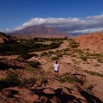 Profile Picture of Michael Fouad (@monkey_miketv) on Instagram