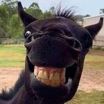 Profile Picture of AmboChief (@carlcraigle) on Instagram