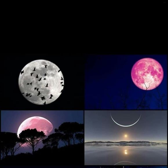 Profile Picture of Katherine Alvarez (@katherinealv646) on Poshmark