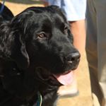 Profile Picture of Bailey Boy Emerson (@bailey_boy_e) on Instagram