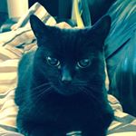 Profile Picture of Roxy Wilson (@missroxywilson) on Instagram