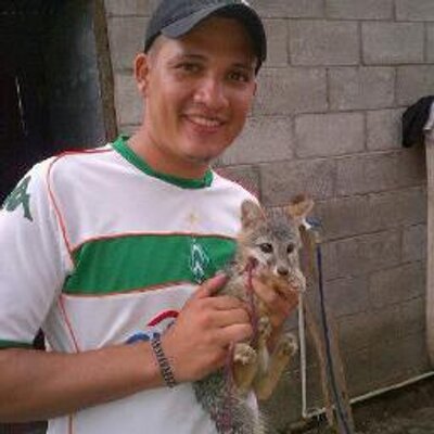 Profile Picture of Luis Alas (@luisalas3) on Twitter