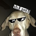 Profile Picture of Devon Connor (@devon.connor30) on Instagram