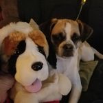 Profile Picture of Paschall Laura (@paschall6142) on Instagram