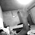 Profile Picture of Pavel Gomez Loayza (@gomezloayzapavel) on Instagram