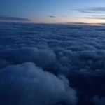 Tim Tidwell - Instagram Profile Picture of Tim Tidwell (@timbotidwell) on Instagram