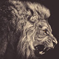 James Spurgin - Quora Profile Picture of James Spurgin (@james-spurgin-1) on Quora