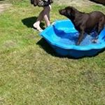 Profile Picture of Dennis de Vries (@dennis.devries.14) on Instagram