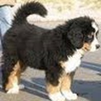 Profile Picture of Coby Gibson (@coby-gibson-4) on Quora