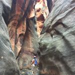 Profile Picture of Mark (@markglurie) on Instagram