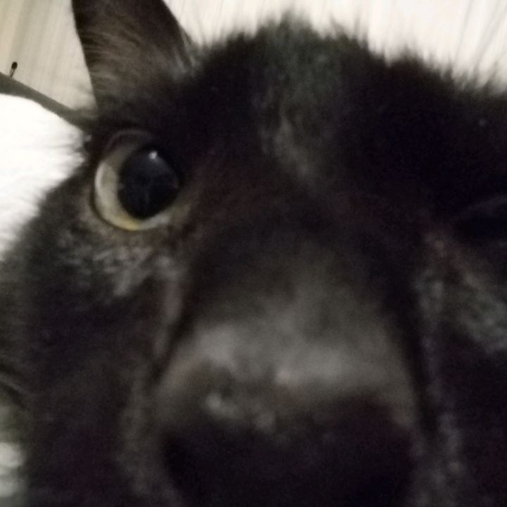 Profile Picture of GAPGYLbR (@mark_kirsh) on Tiktok