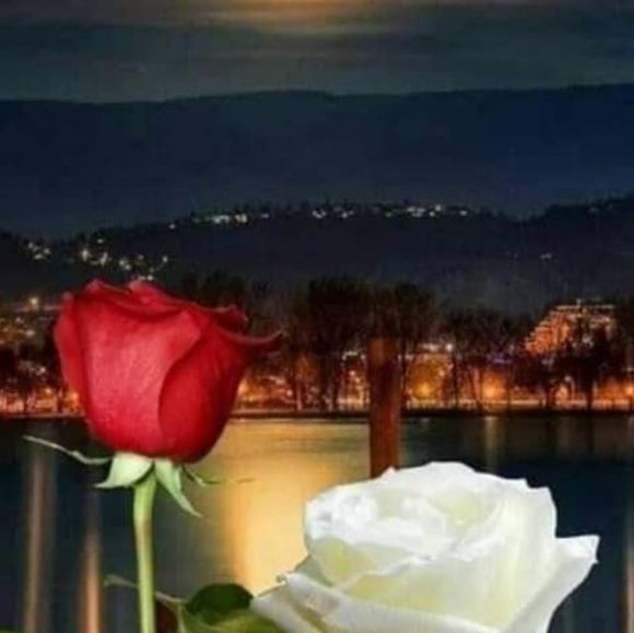 Profile Picture of Apolonio Flores (@apolonio_flores) on Poshmark