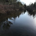 Profile Picture of Joanne Bartley (@cpsdnbjmb) on Instagram