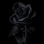 Profile Picture of Zidan Simpaty (@Zidan-Simpaty) on Facebook