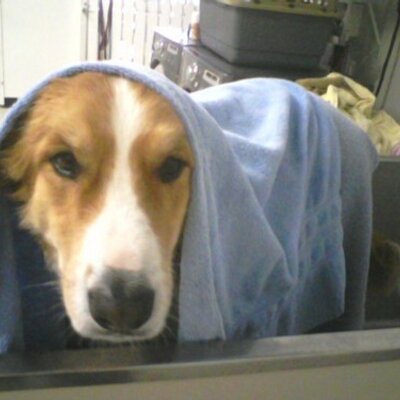 Profile Picture of Rusty Buttons Berg (@RustyButtons6) on Twitter