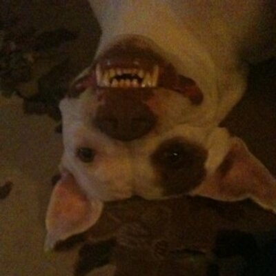 Profile Picture of Kevin McCraw (@kevinpmc2) on Twitter