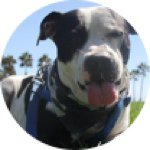 Profile Picture of Brandon Taylor Steinberg (@brandontaylorsteinberg) on Instagram