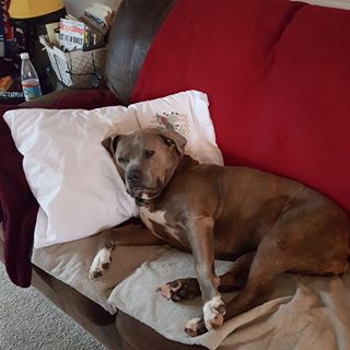 Profile Picture of Bella Perry (@bella.perry.9862) on Facebook