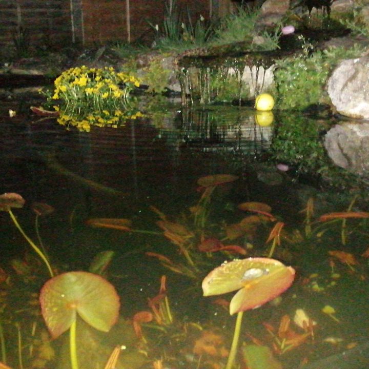 Profile Picture of Michael Axford595 (@michaelaxford0) on Tiktok