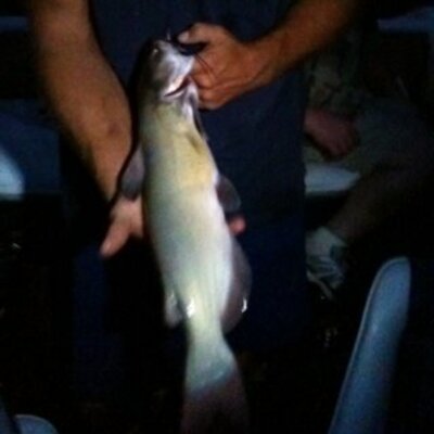 Profile Picture of Paul Spurlock (@SpurlockPaul) on Twitter