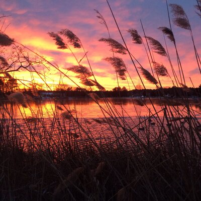 Profile Picture of Chris Chappelle (@ChrisChapp1) on Twitter