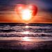 Profile Picture of Amanda Dobyns (@dobyns0828) on Pinterest