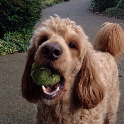 Profile Picture of Bryan Paxson (@@paxson) on Twitter