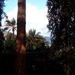 Profile Picture of Alberto Joseph Columbus (@albertojosephcolumbus) on Instagram