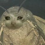 Profile Picture of Santiago Perez (@david_antolinez147) on Instagram