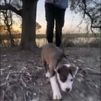 Profile Picture of Bradley Schwarz (@Bradley-Schwarz) on Facebook