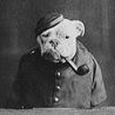 Profile Picture of Ben Birdsall (@elephony) on Twitter